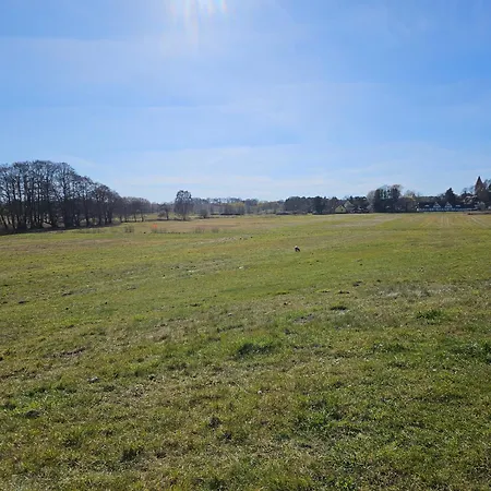 Dom wakacyjny Traumbungalow Fuer 4 Personen Bei Sellin!