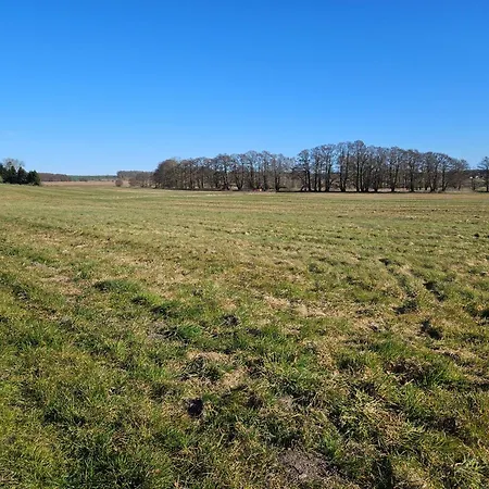 Dom wakacyjny Traumbungalow Fuer 4 Personen Bei Sellin! Lancken-Granitz